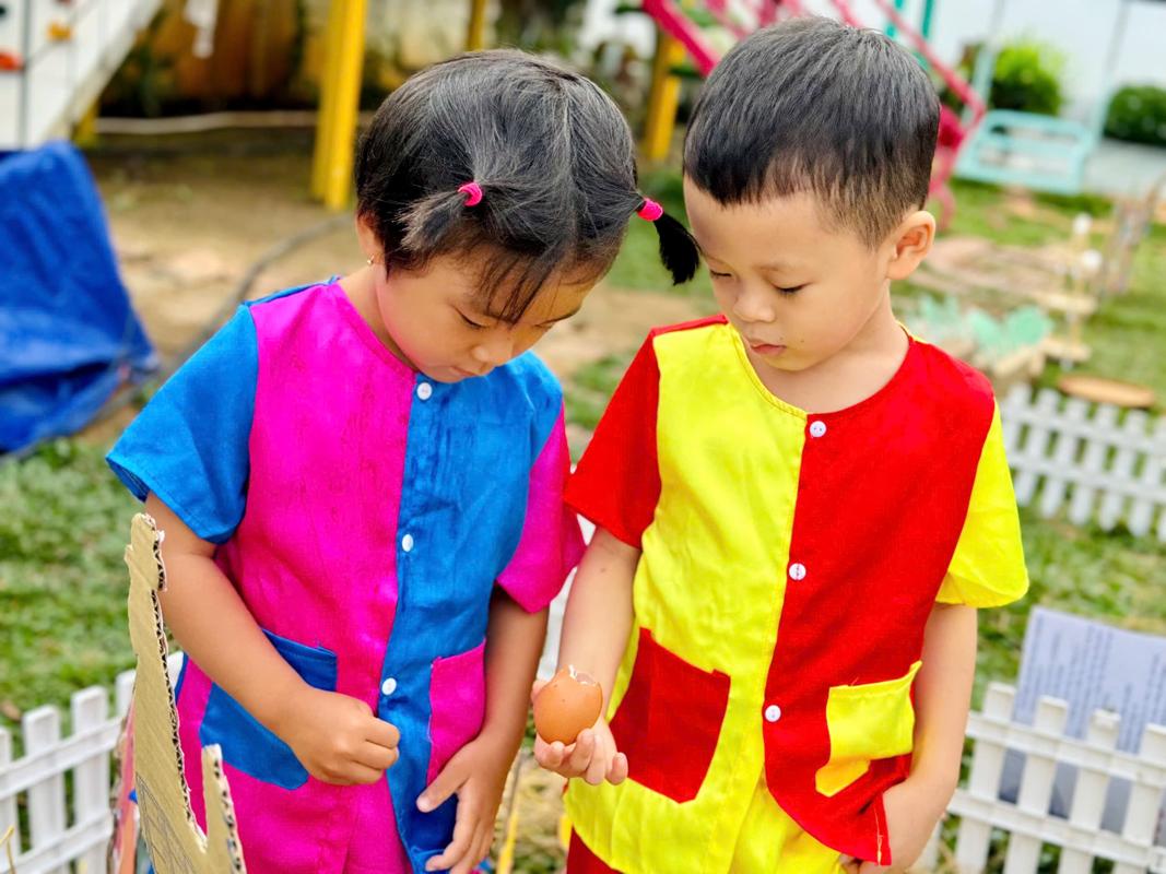 Ảnh hoạt động
