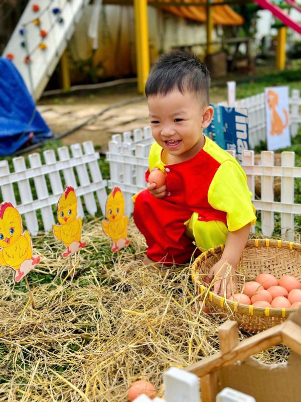 Ảnh hoạt động