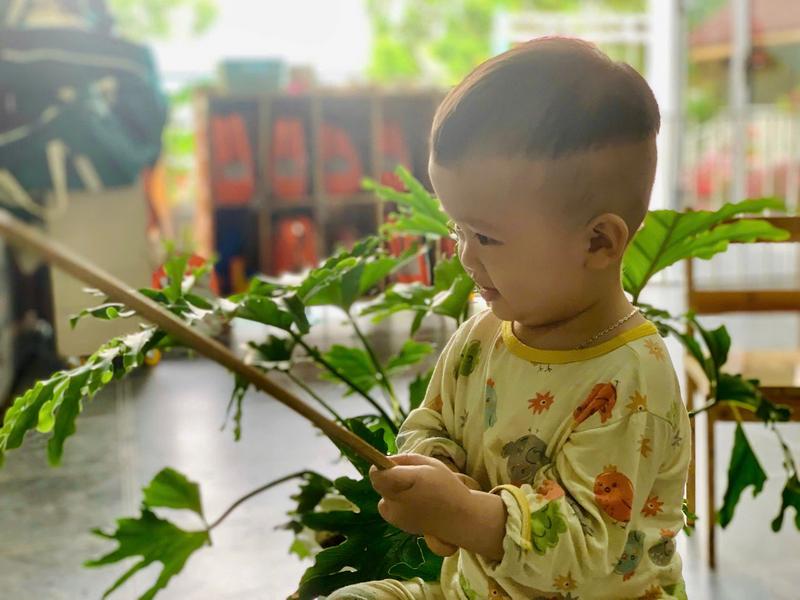 Ảnh hoạt động