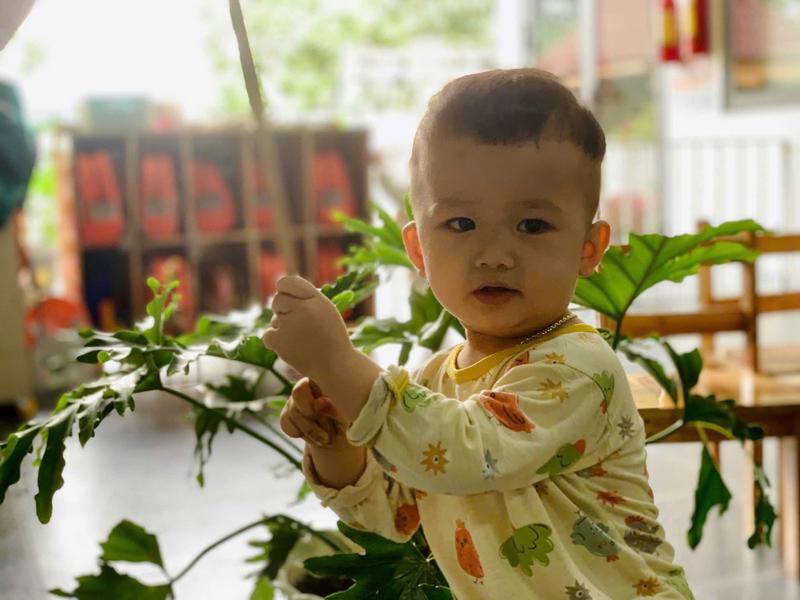 Ảnh hoạt động