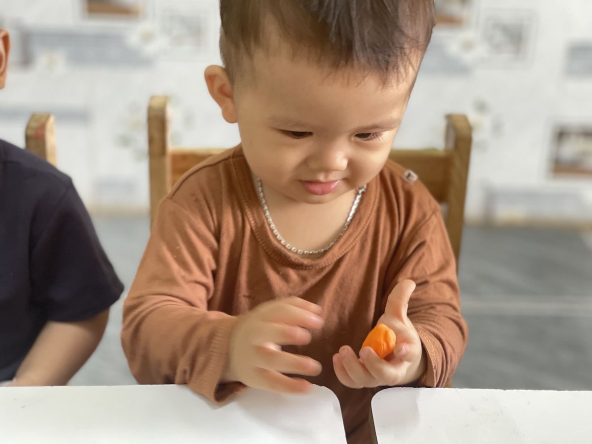 Ảnh hoạt động