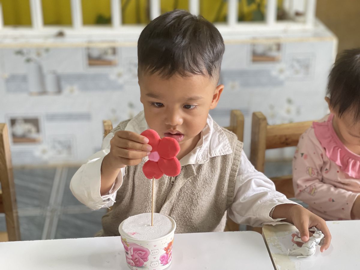 Ảnh hoạt động