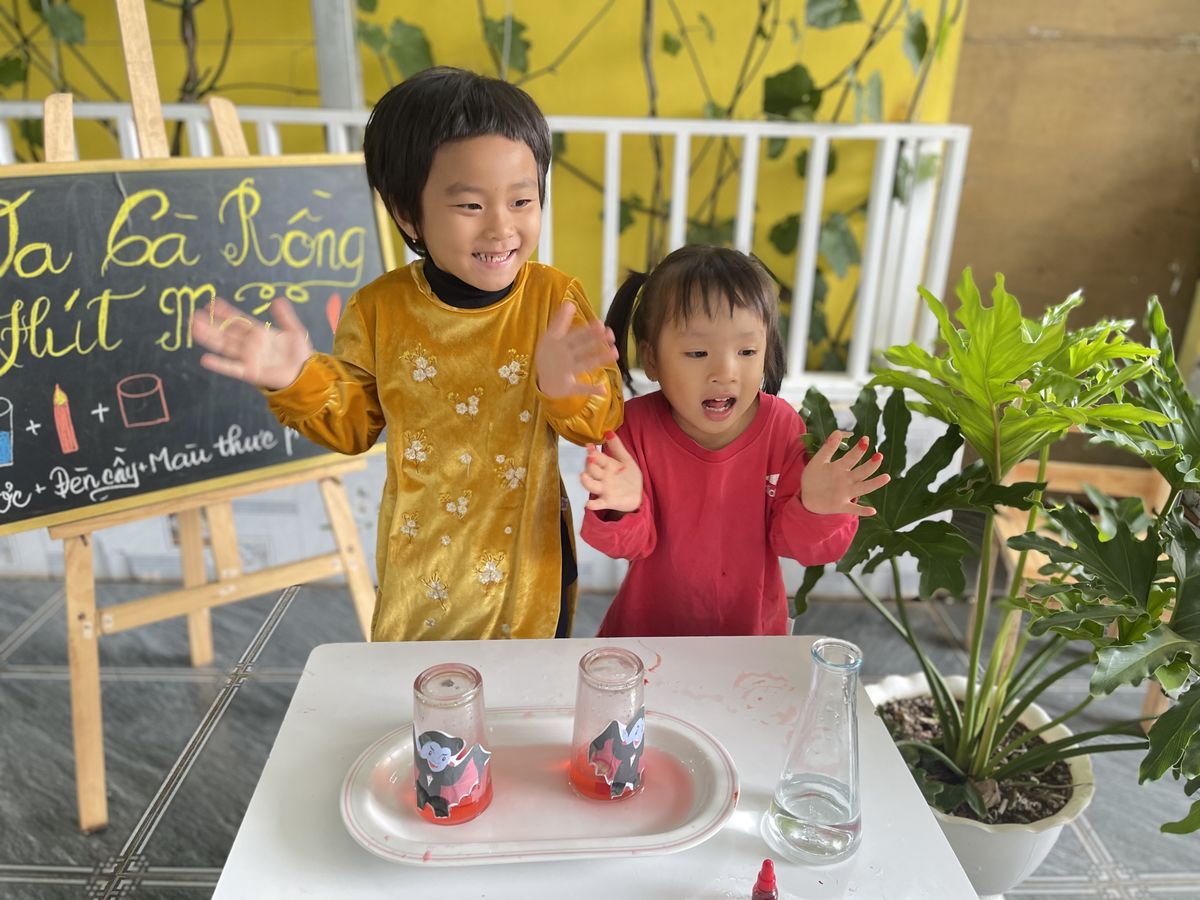 Ảnh hoạt động