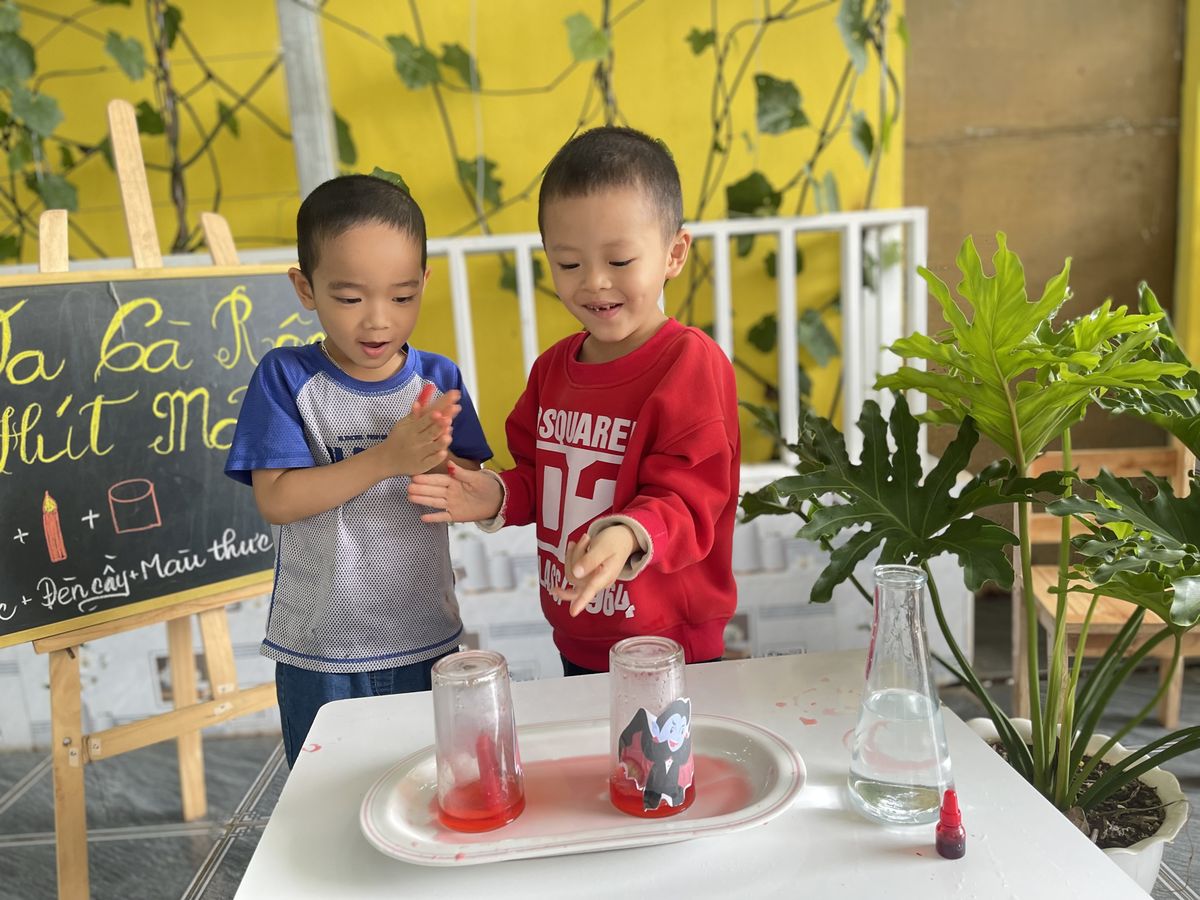 Ảnh hoạt động