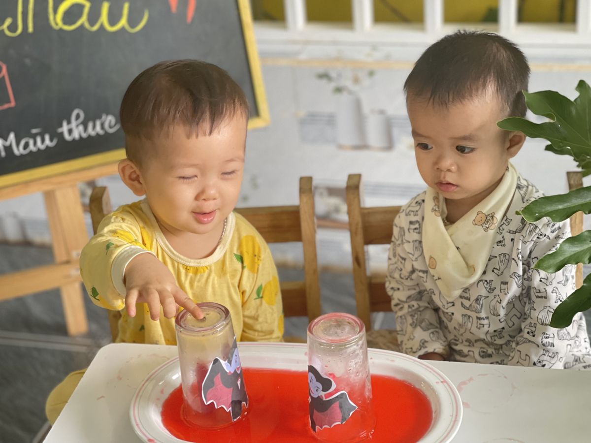 Ảnh hoạt động