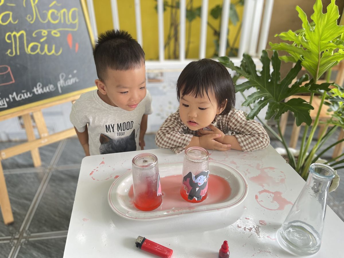 Ảnh hoạt động