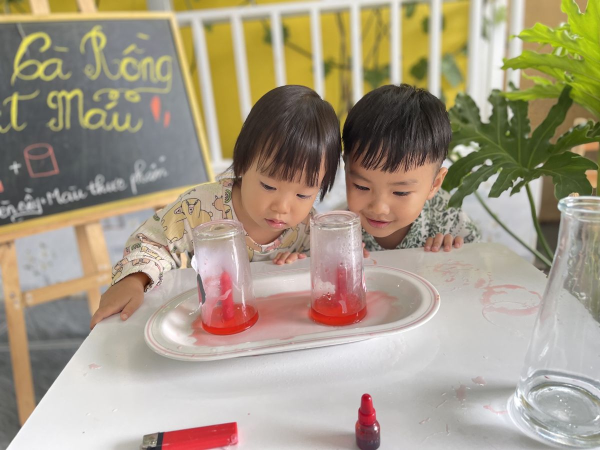 Ảnh hoạt động