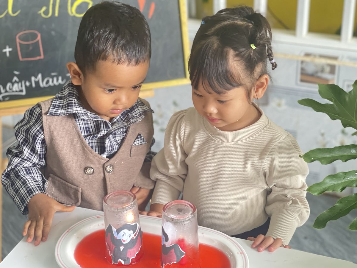 Ảnh hoạt động