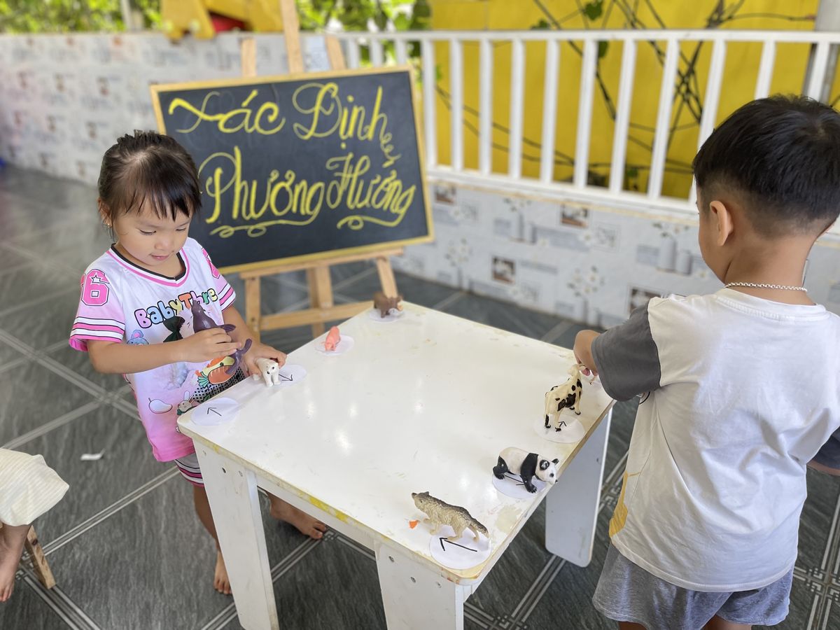 Ảnh hoạt động