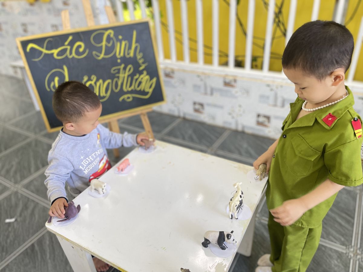 Ảnh hoạt động