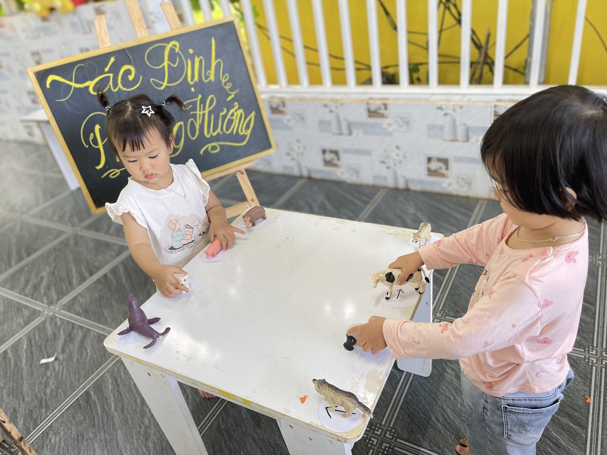 Ảnh hoạt động