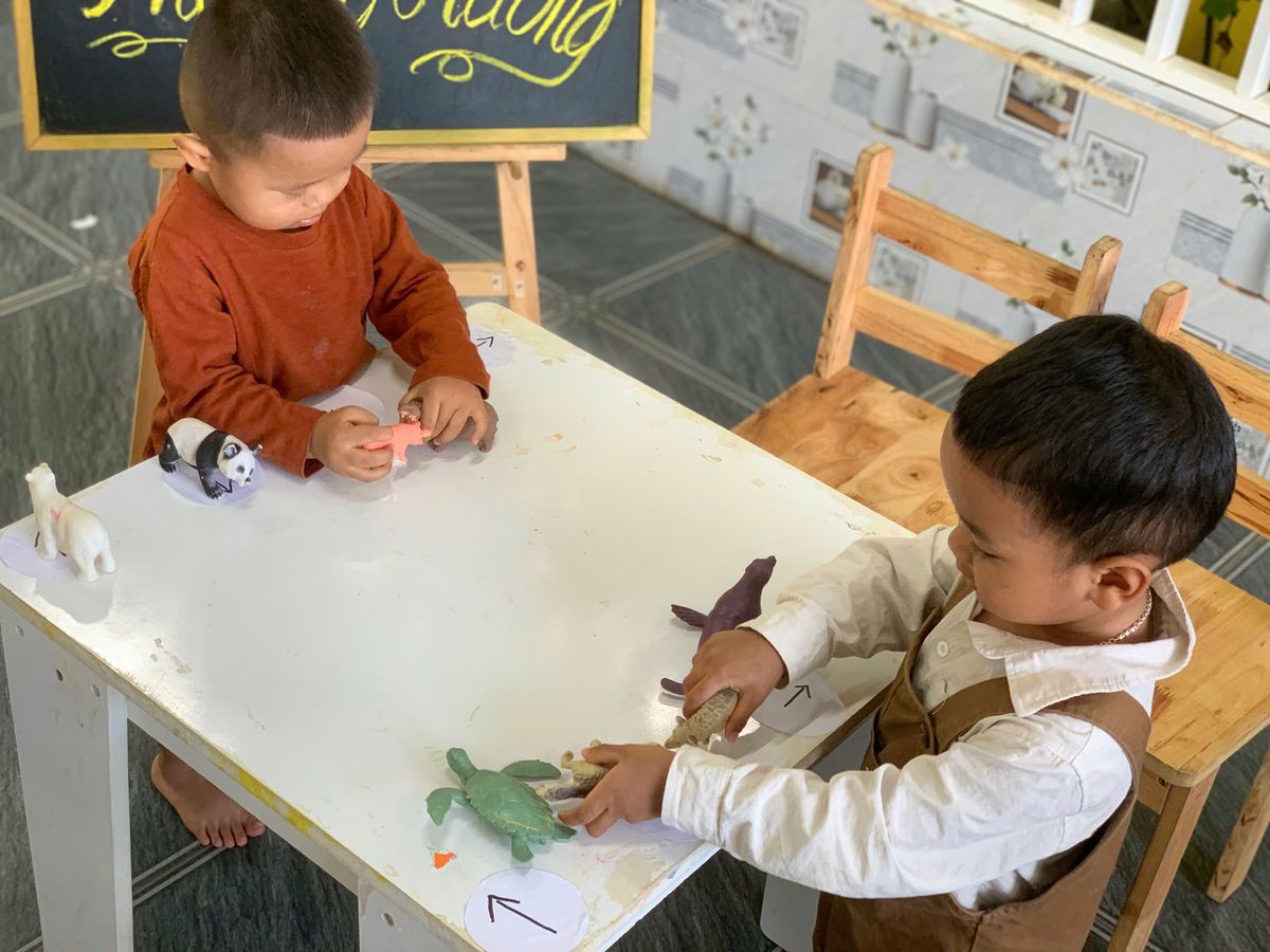 Ảnh hoạt động