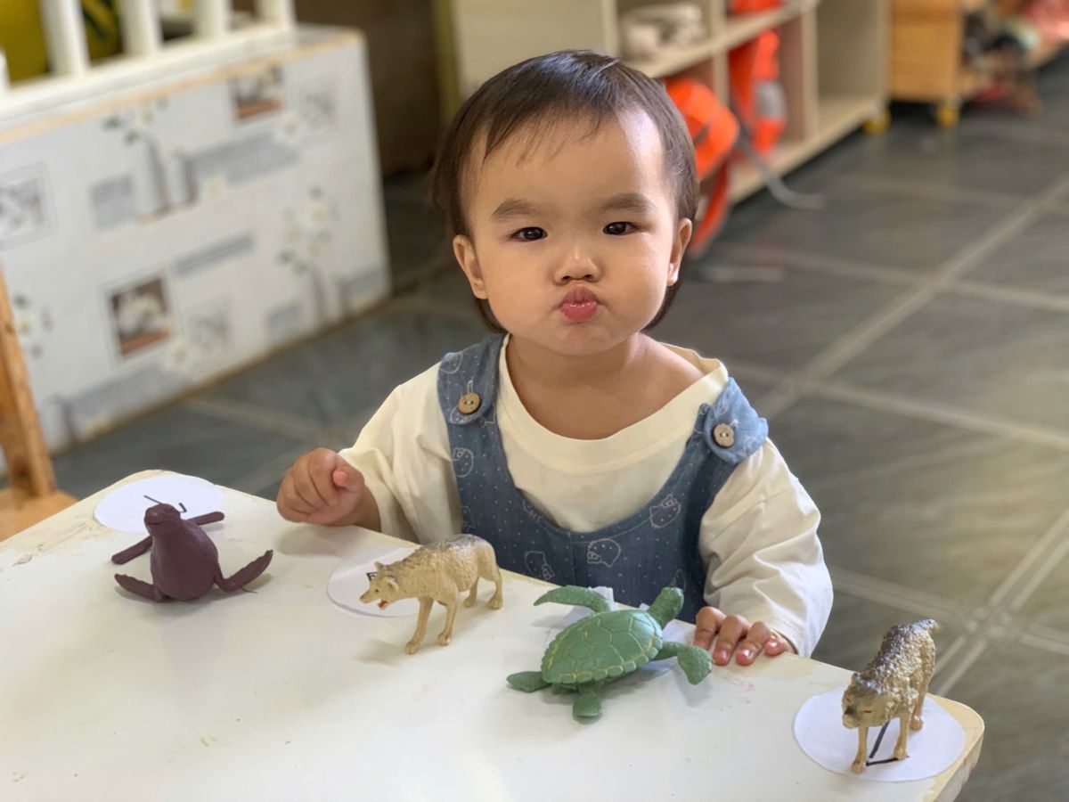 Ảnh hoạt động