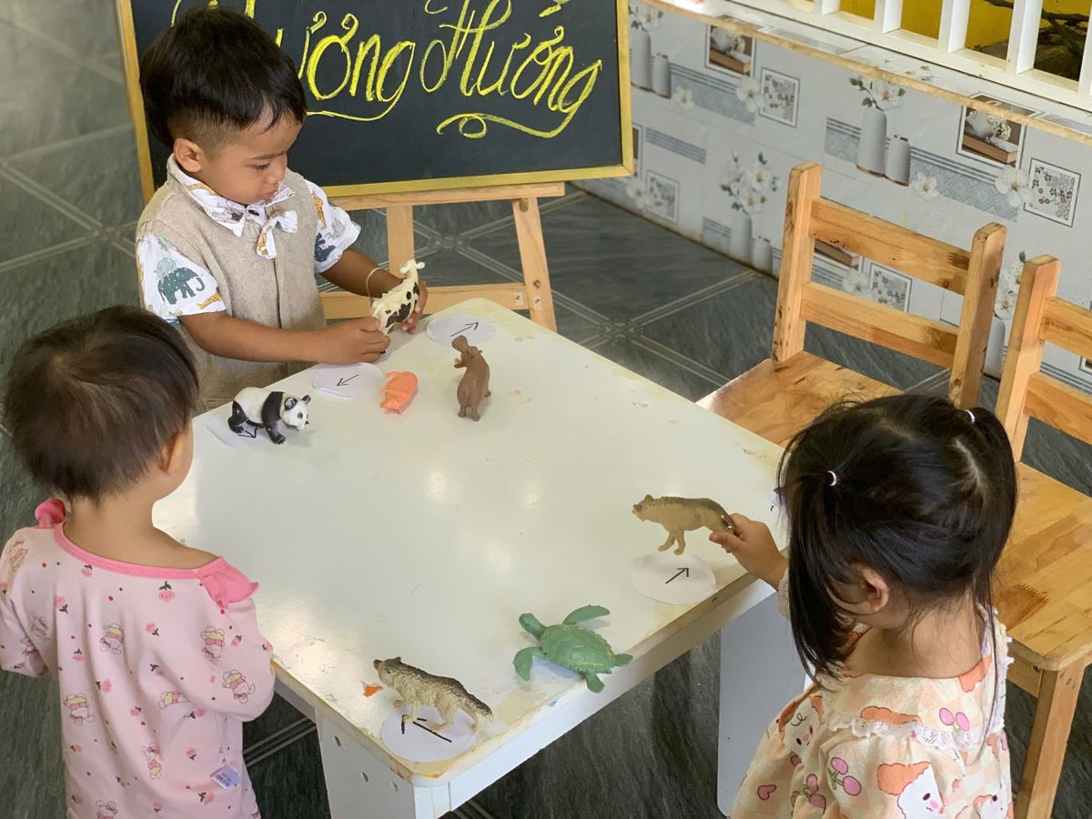 Ảnh hoạt động