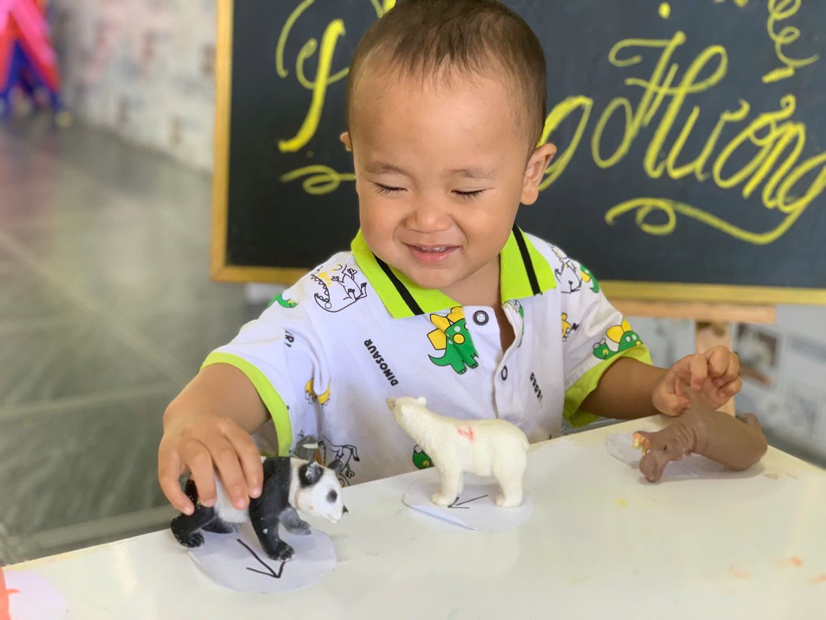 Ảnh hoạt động