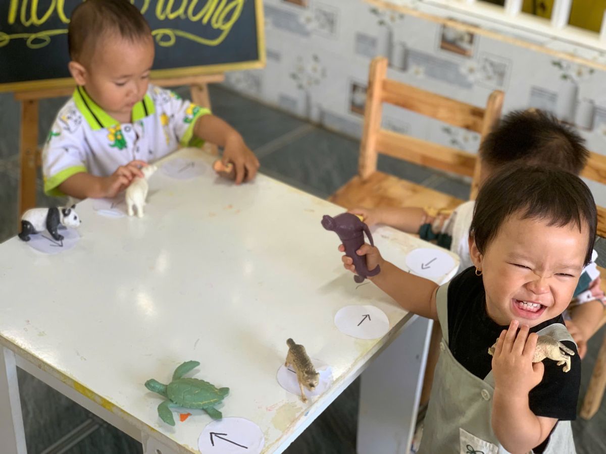 Ảnh hoạt động