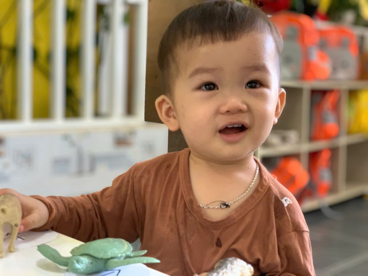 Ảnh hoạt động