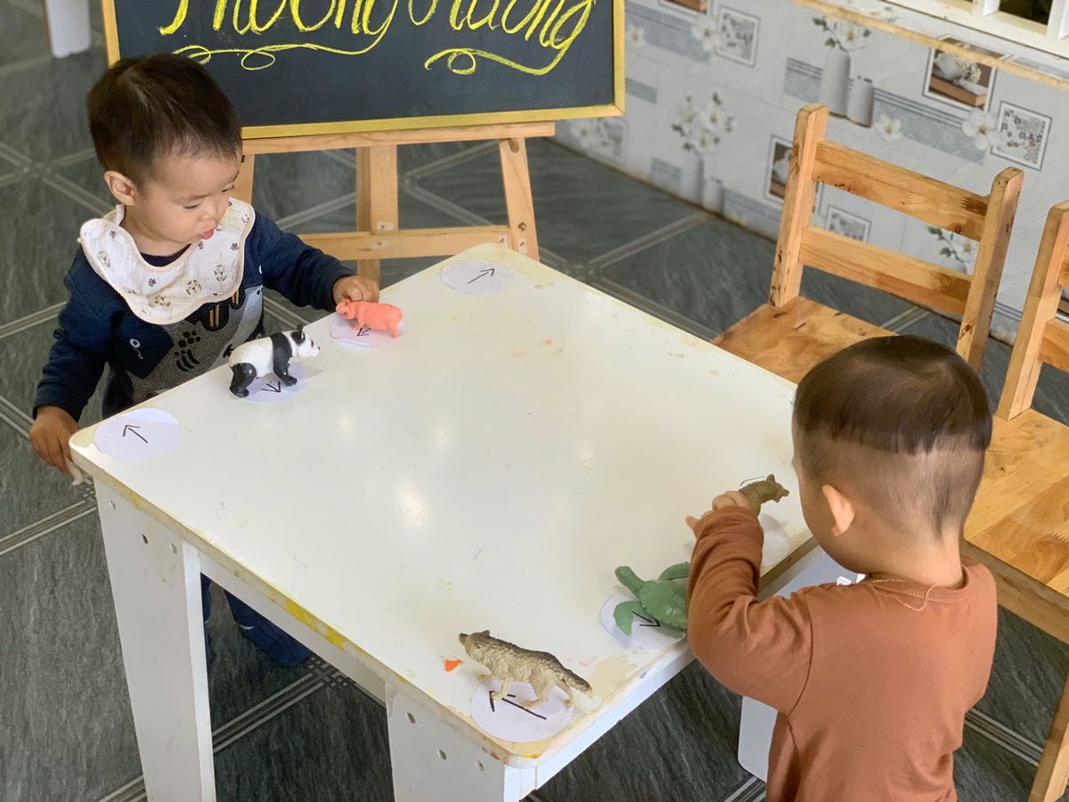 Ảnh hoạt động