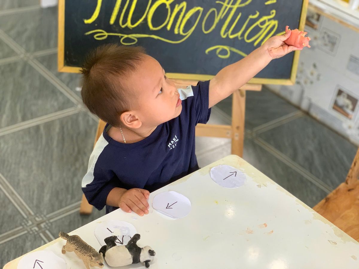 Ảnh hoạt động