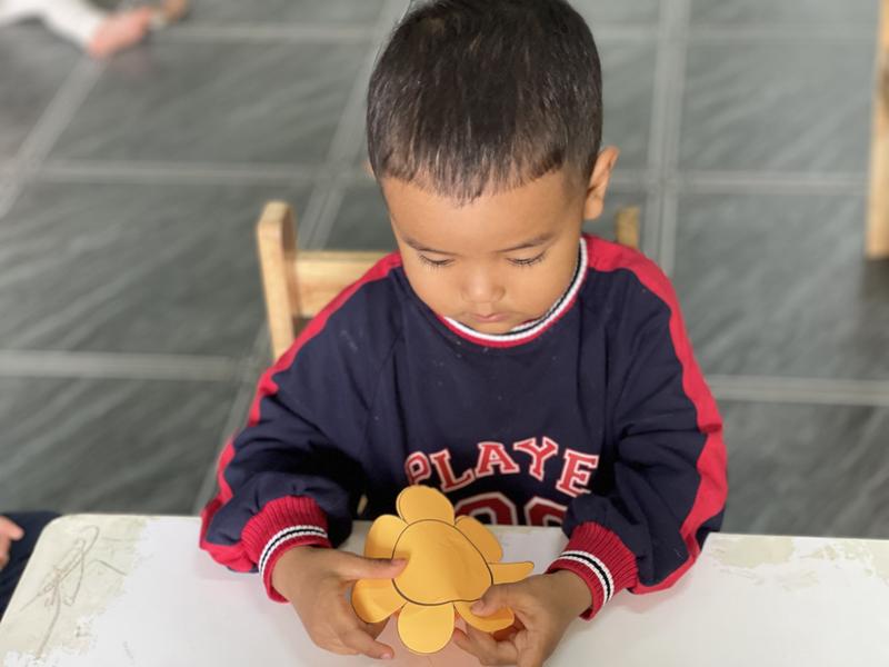 Ảnh hoạt động