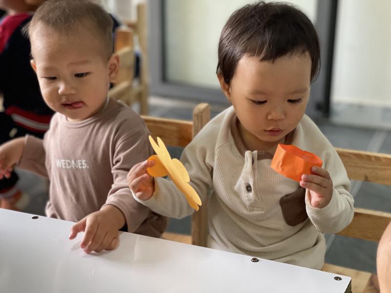 Ảnh hoạt động