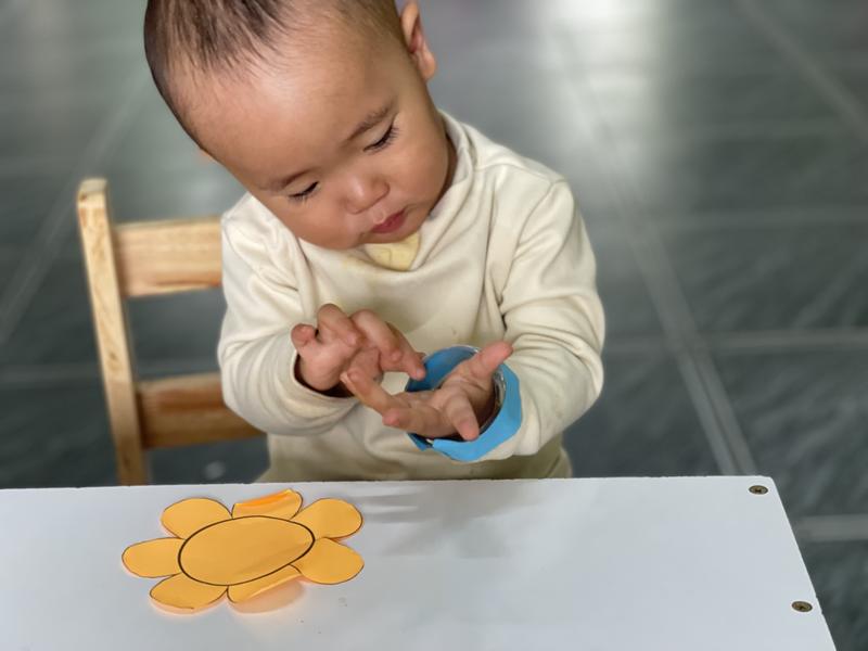 Ảnh hoạt động