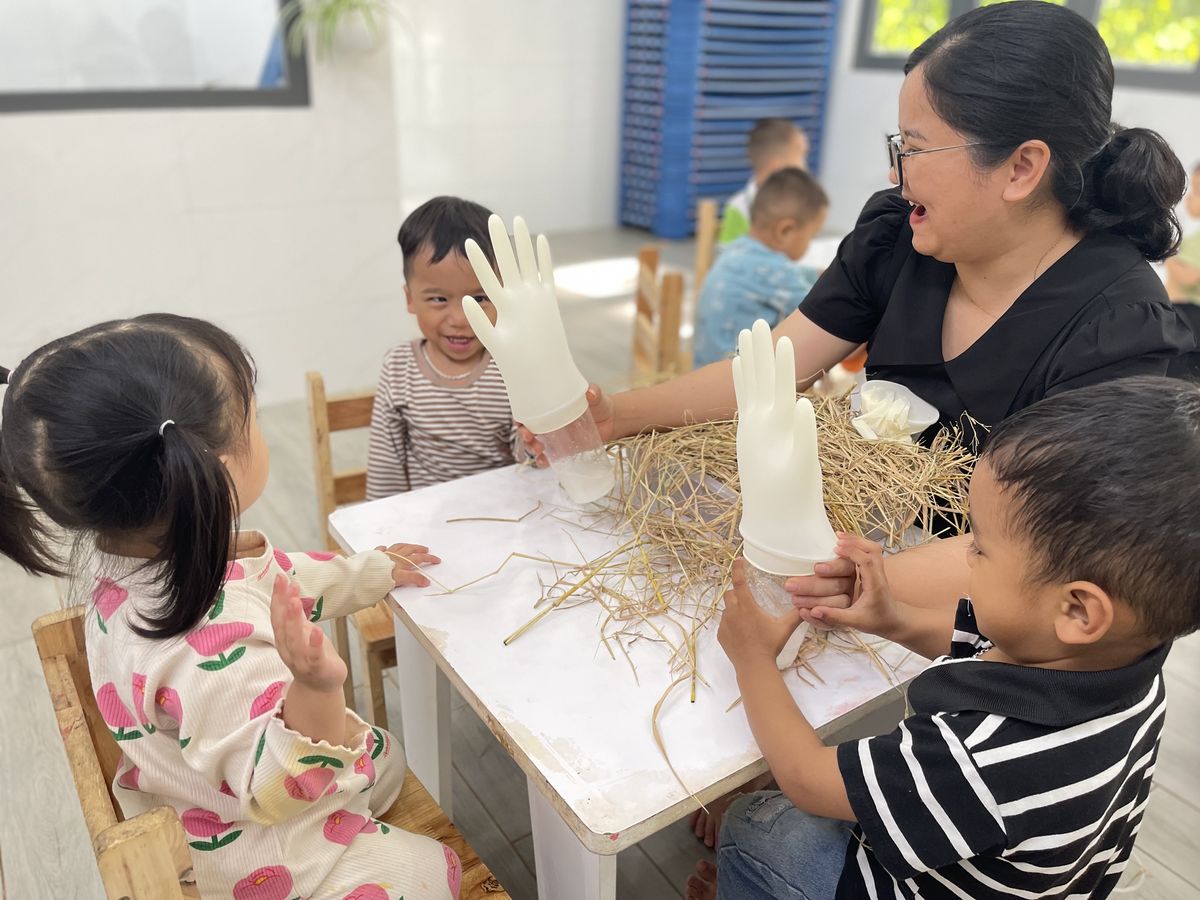 Ảnh hoạt động