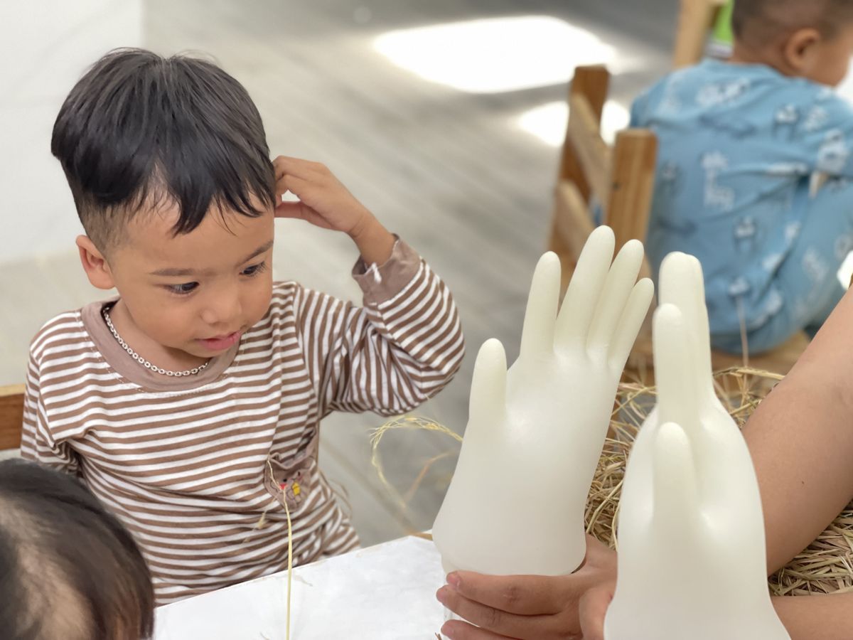 Ảnh hoạt động