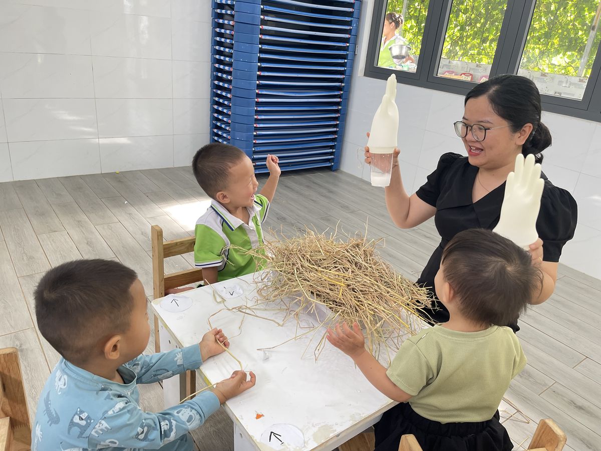 Ảnh hoạt động