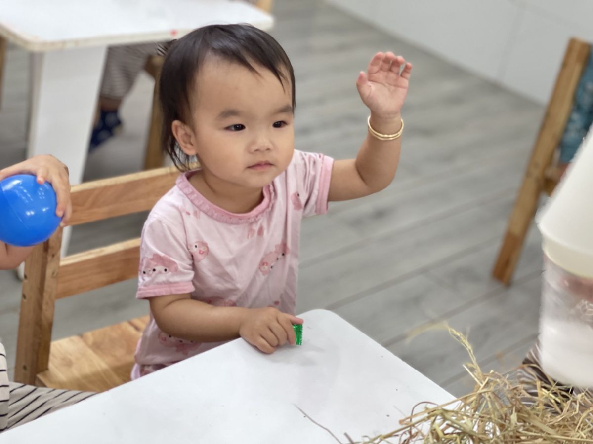 Ảnh hoạt động