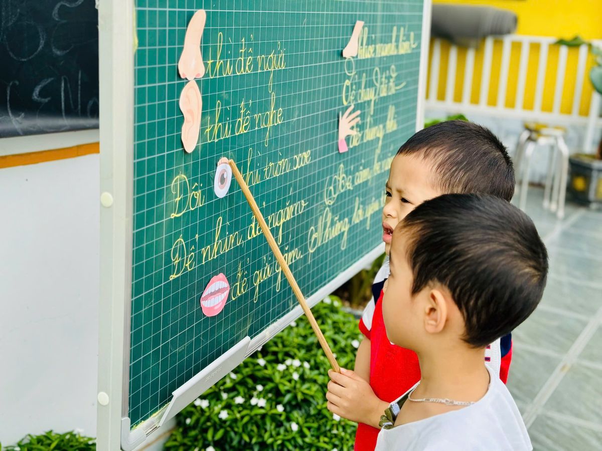 Ảnh hoạt động