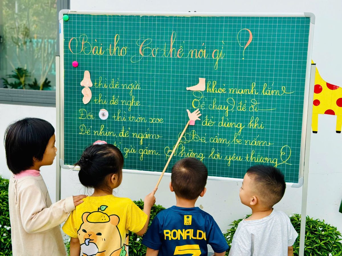 Ảnh hoạt động