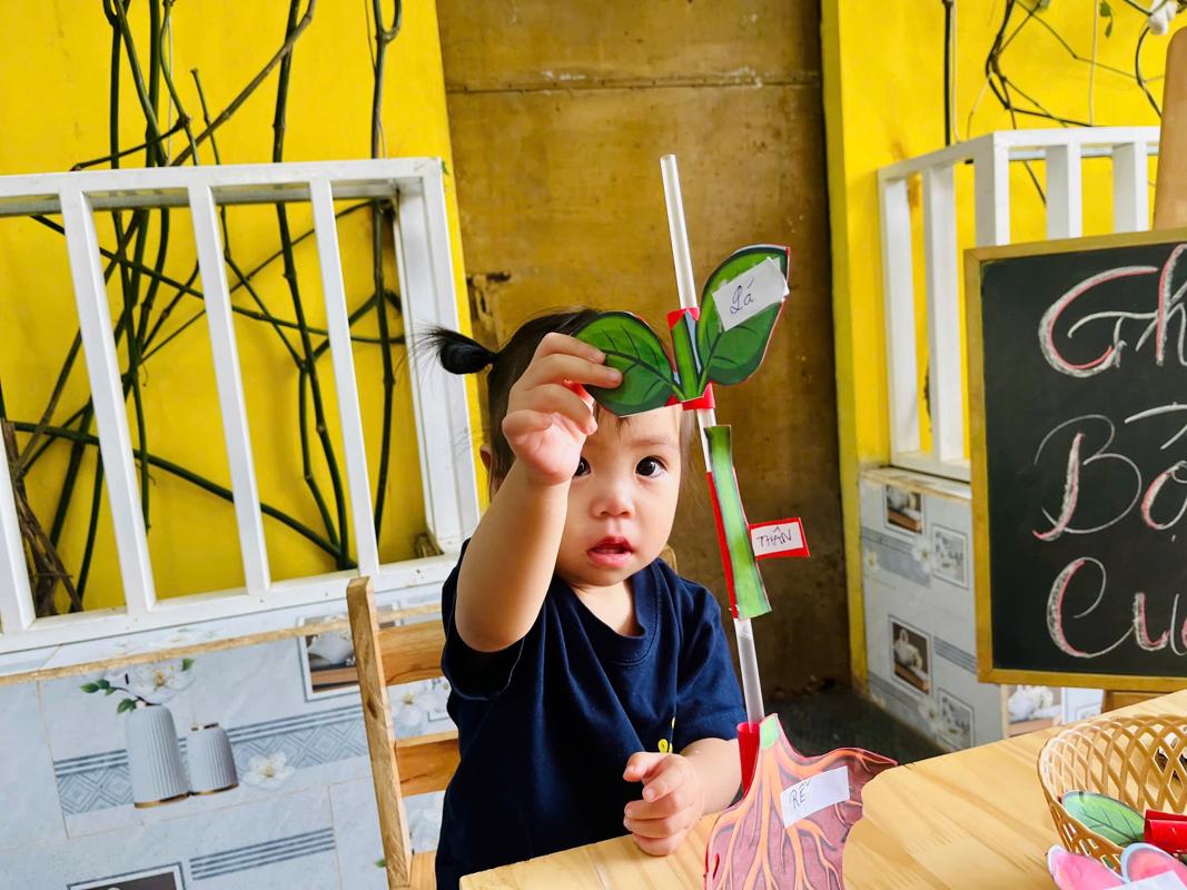 Ảnh hoạt động