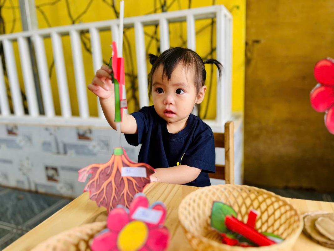 Ảnh hoạt động