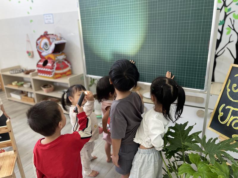 Ảnh hoạt động