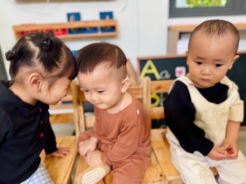 Ảnh hoạt động