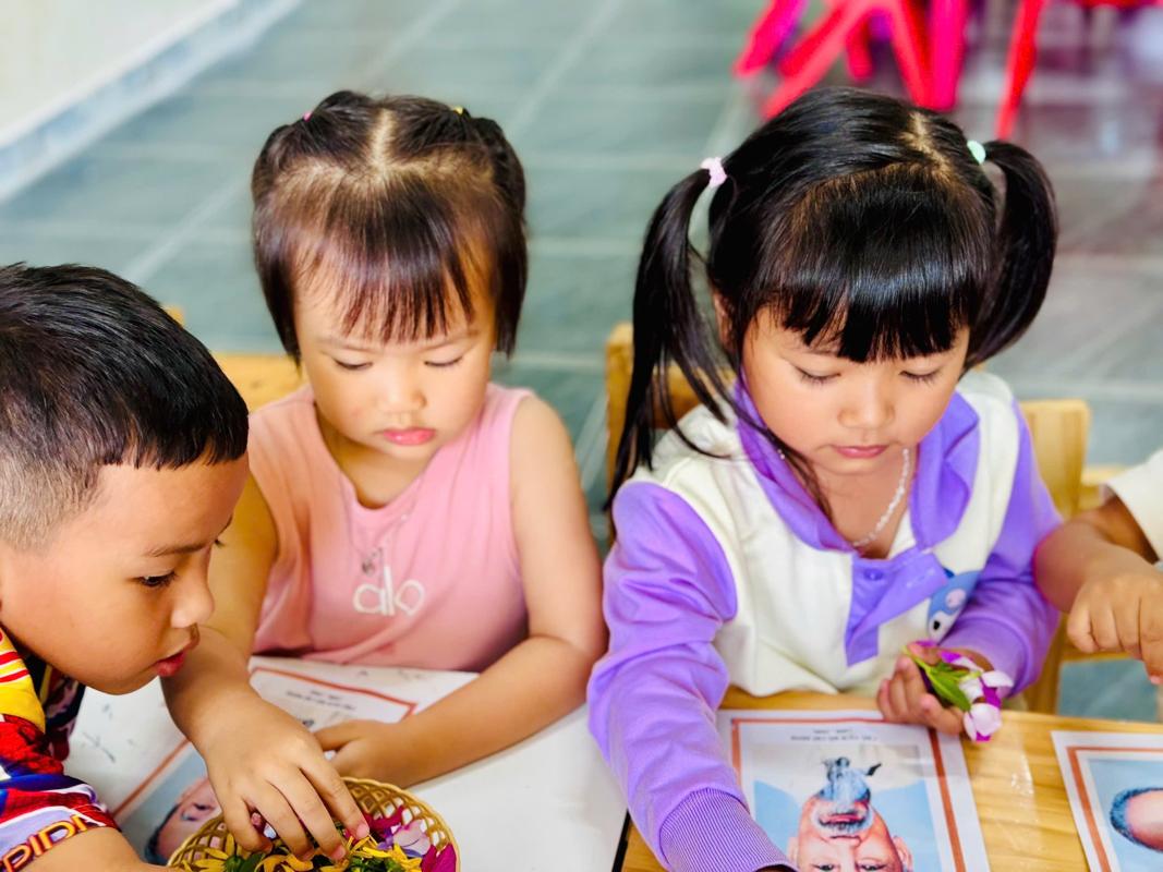 Ảnh hoạt động