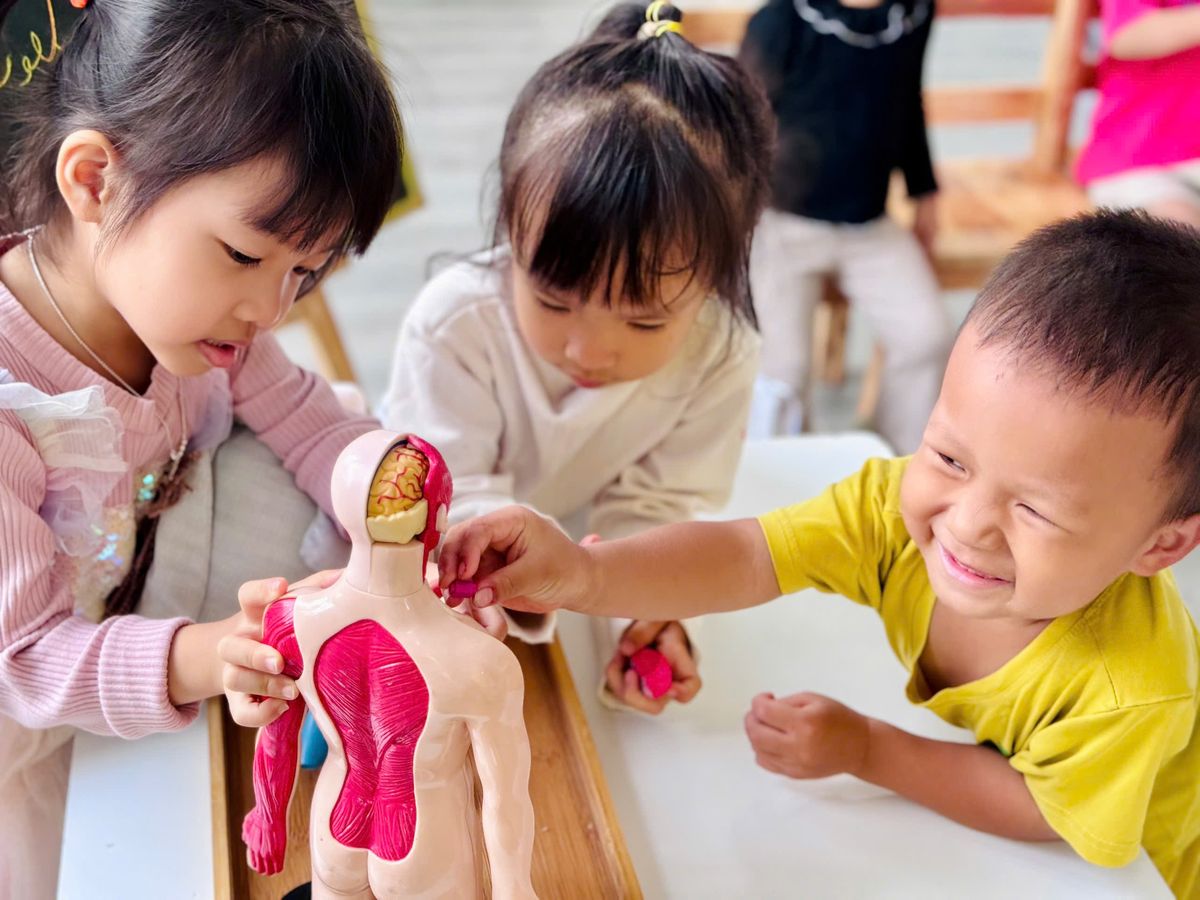 Ảnh hoạt động