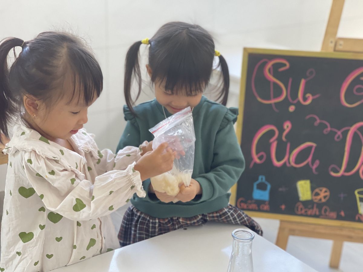 Ảnh hoạt động