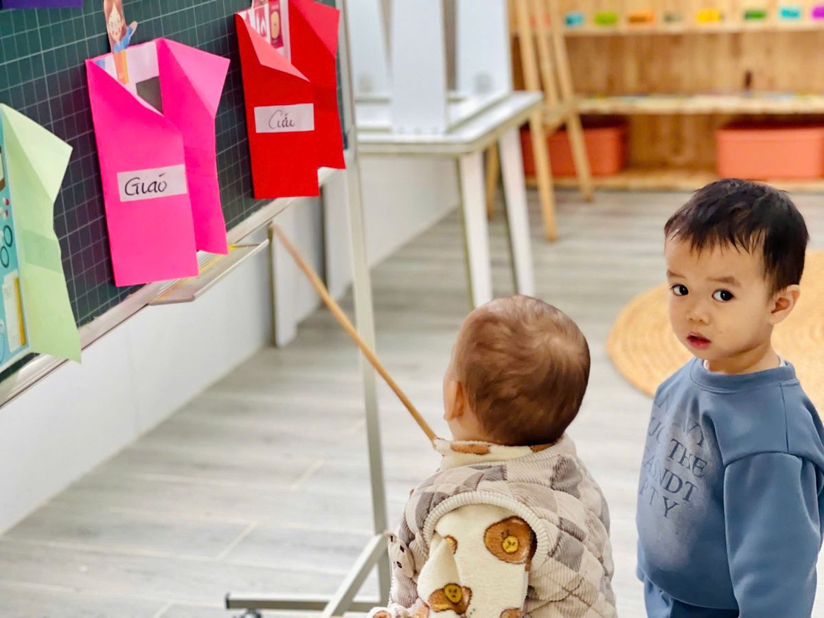 Ảnh hoạt động