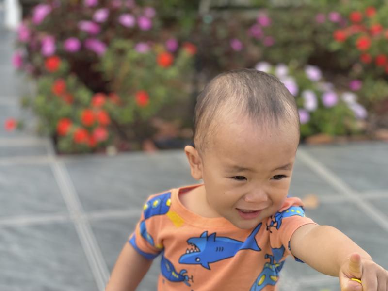 Ảnh hoạt động