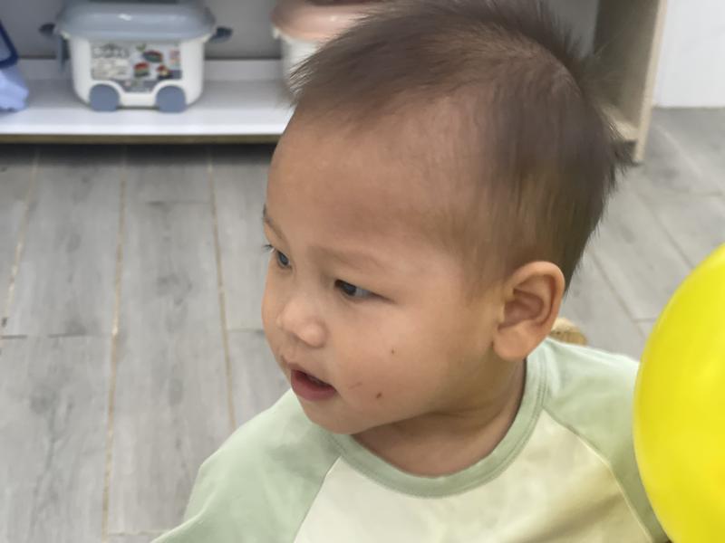 Ảnh hoạt động