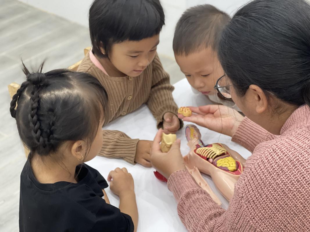 Ảnh hoạt động