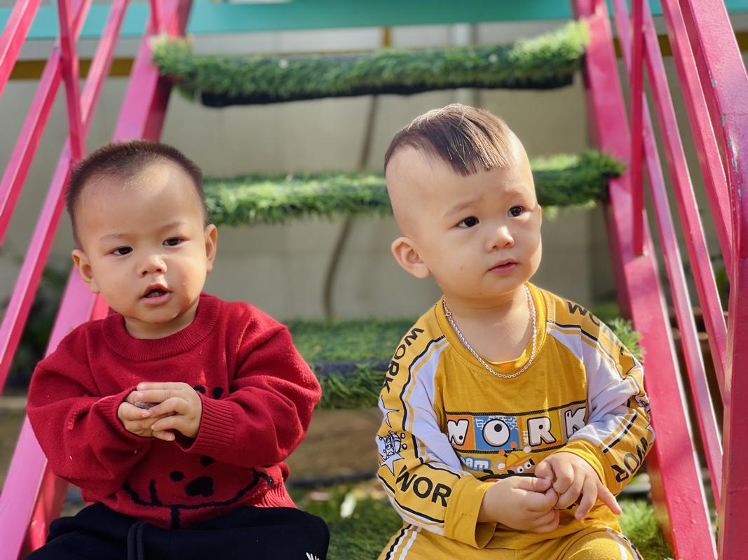 Ảnh hoạt động