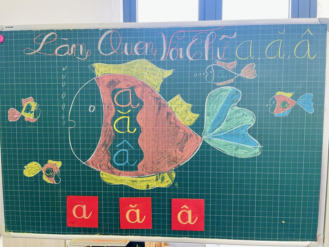 Ảnh hoạt động