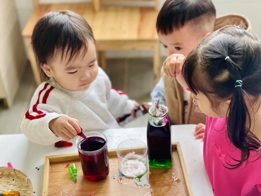 Ảnh hoạt động