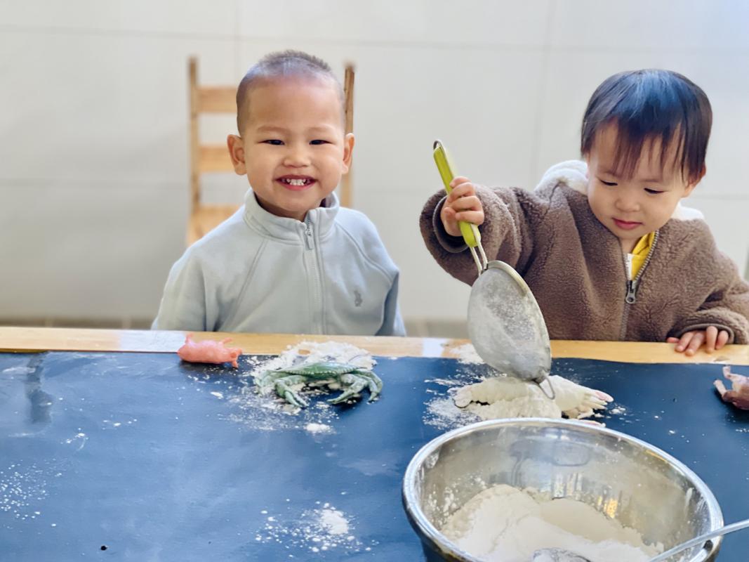 Ảnh hoạt động