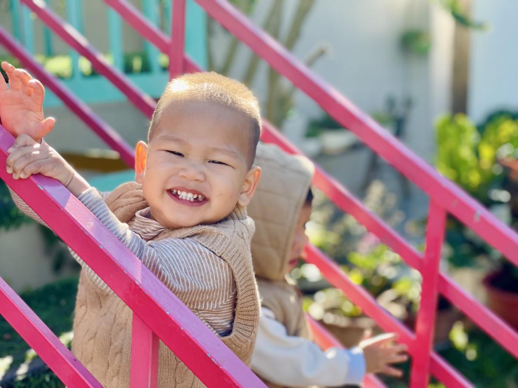 Ảnh hoạt động