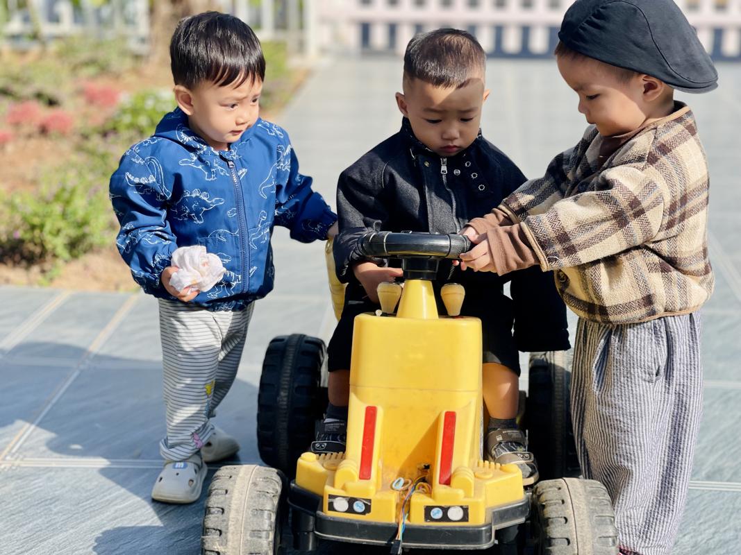 Ảnh hoạt động