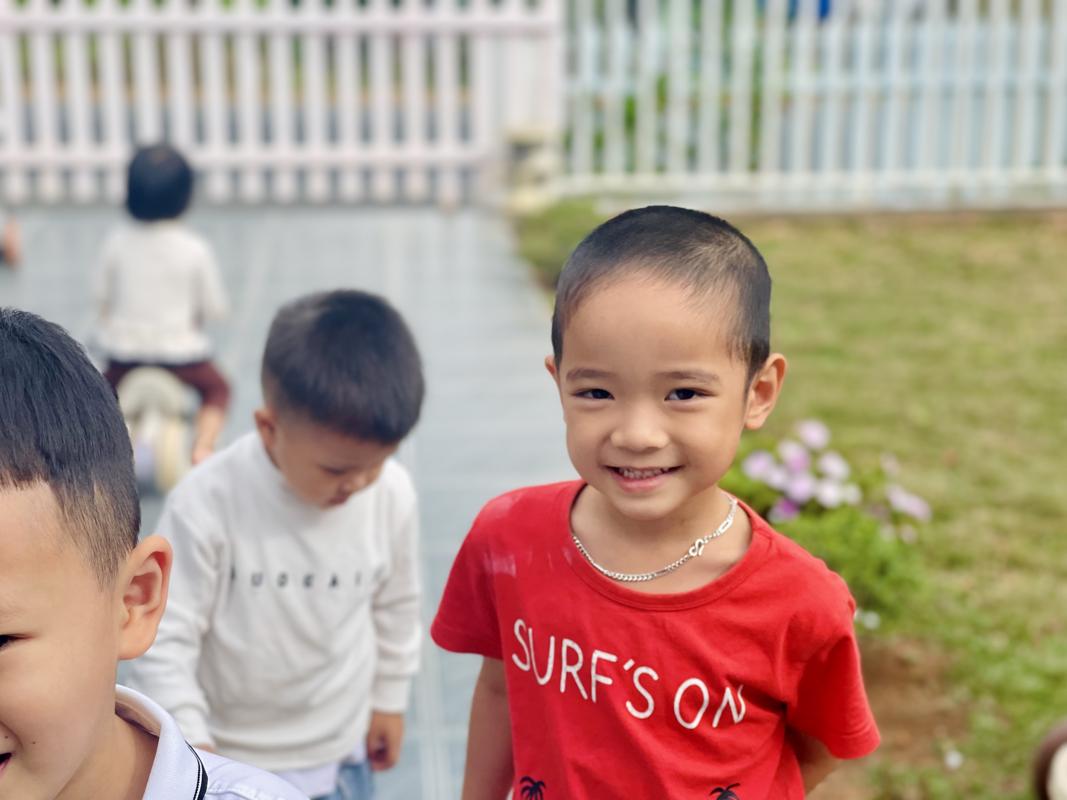 Ảnh hoạt động